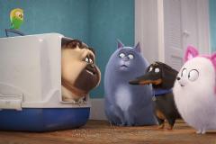 Pets 2 - Vita da animali (2019) - Renaud - Recensione | ASBURY MOVIES