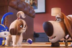 Pets 2 - Vita da animali (2019) - Renaud - Recensione | ASBURY MOVIES