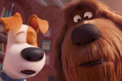 Pets 2 - Vita da animali (2019) - Renaud - Recensione | ASBURY MOVIES