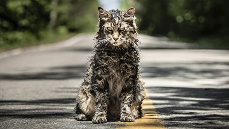 PET SEMATARY: IN ARRIVO UN PREQUEL PER PARAMOUNT+