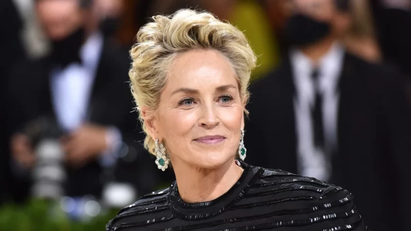 WOMAN ON FIRE: SHARON STONE SARÀ ATTRICE E PRODUTTRICE DI UN NUOVO THRILLER